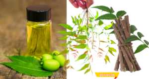 benefits of neem