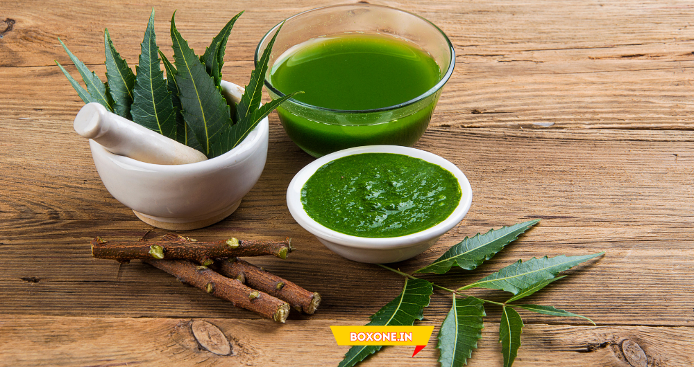 benefits of neem leaves