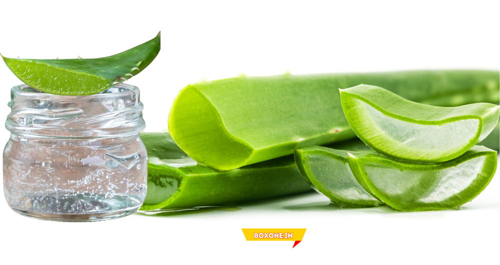 Aloe Vera  Uses