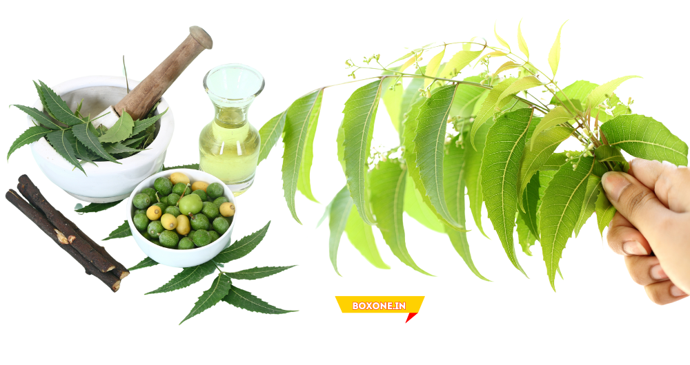 neem benefits